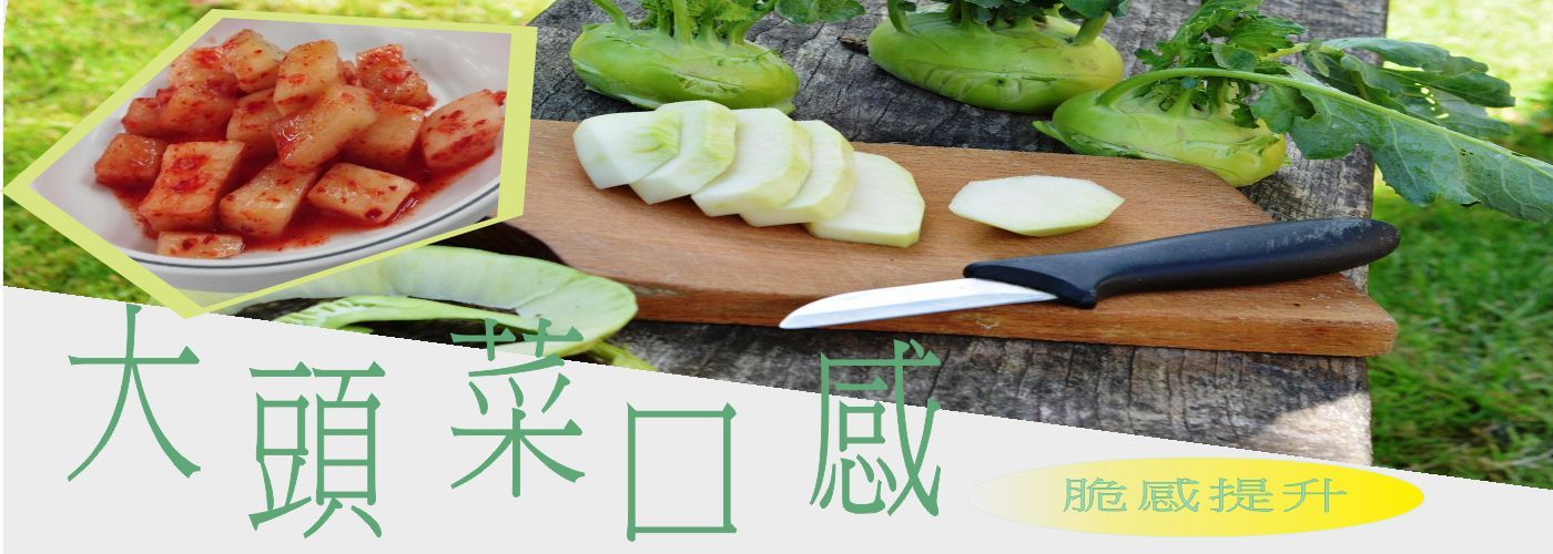 第二商品